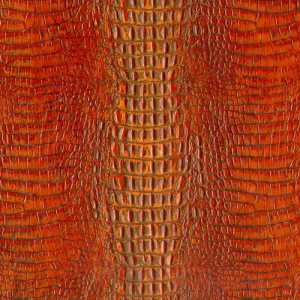 Baby Hornback  - Burnt Orange