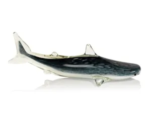Decorative Glass Blue Shark