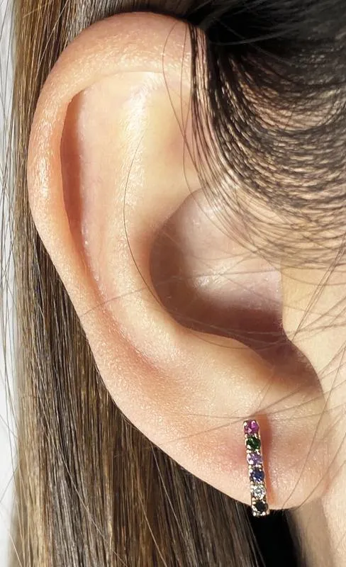 Diamond & Gemstone Earrings CE69