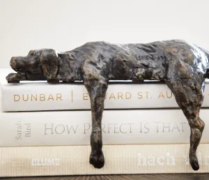 Dune's Nap- Iron Shelf Decor