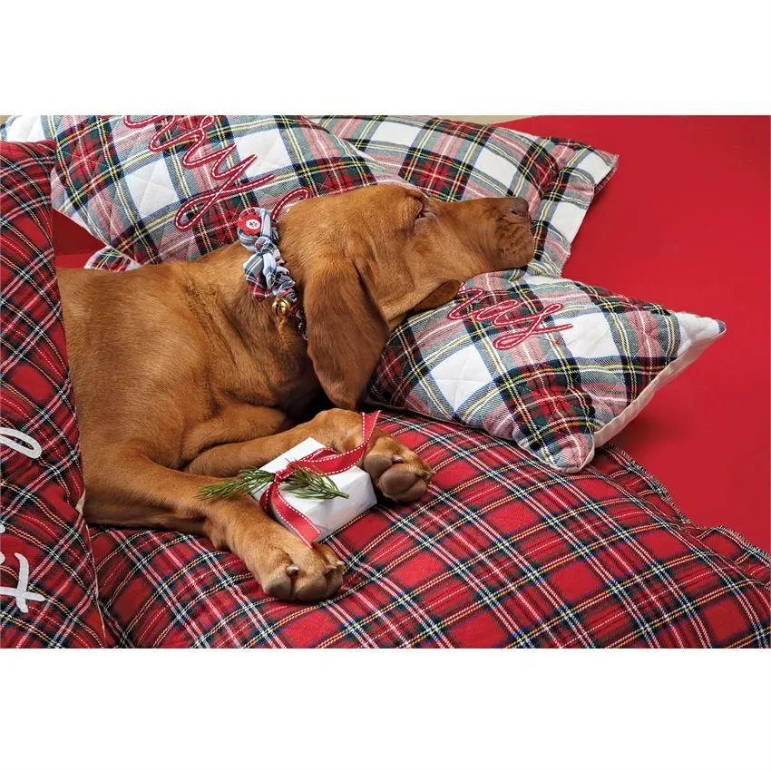 Elastic Dog Collar