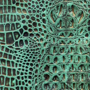 Gator Hornback - Turquoise Copper