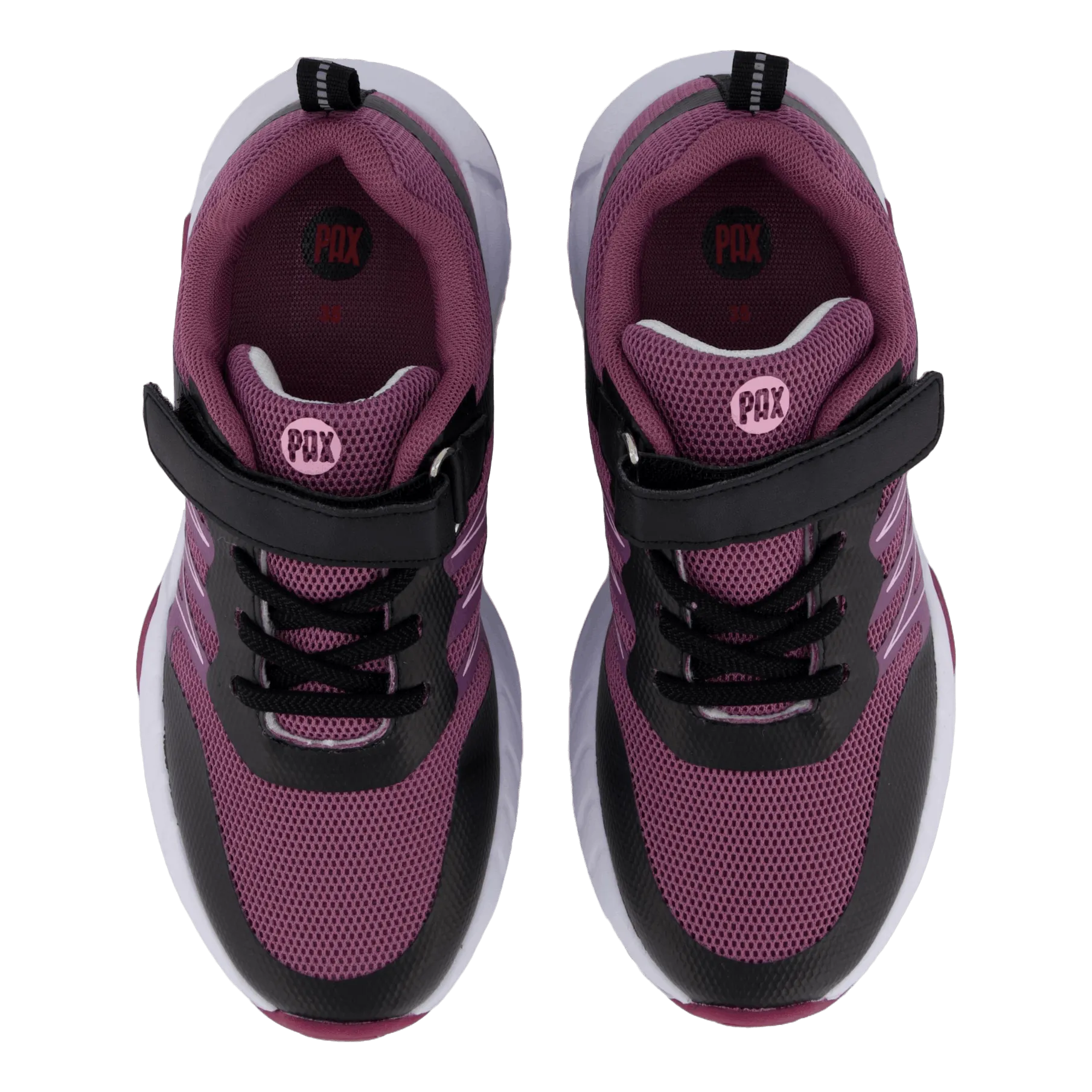 Helix Purple