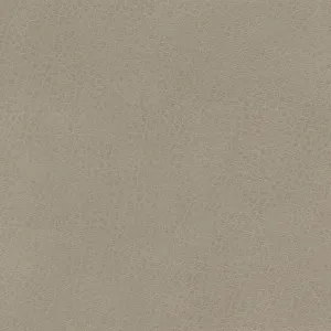 Isabel-Fossil