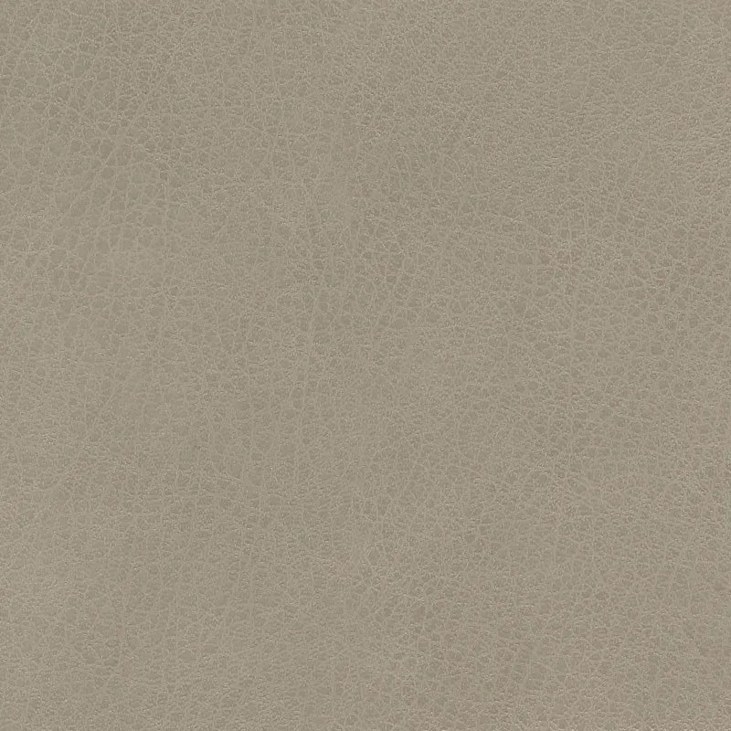 Isabel-Fossil