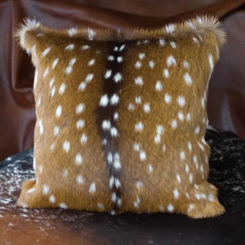 Leather Accent Pillows