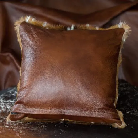 Leather Accent Pillows