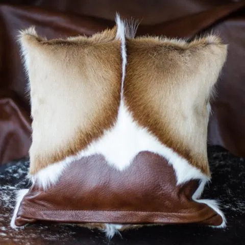 Leather Accent Pillows