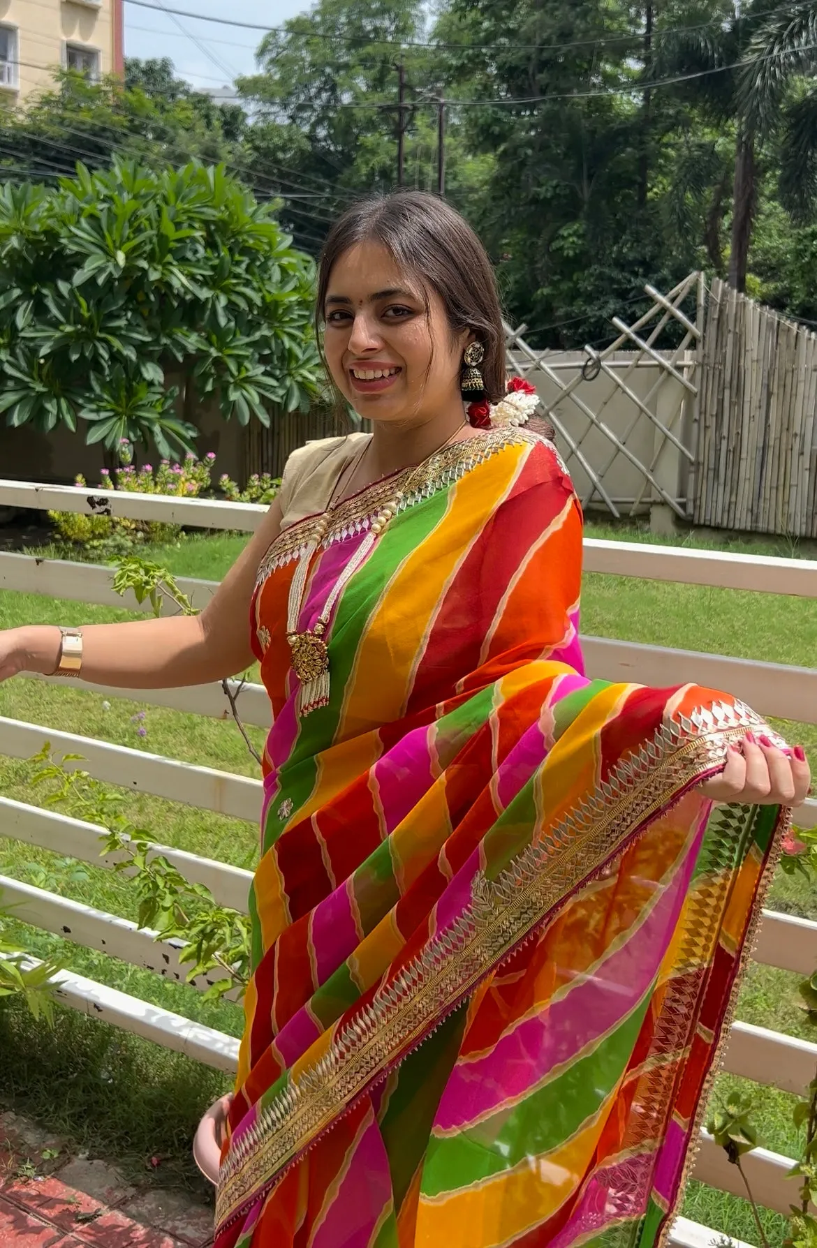 Multi Color Mothra Saree