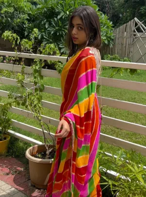 Multi Color Mothra Saree