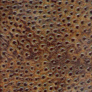 Ostrich - Mocha