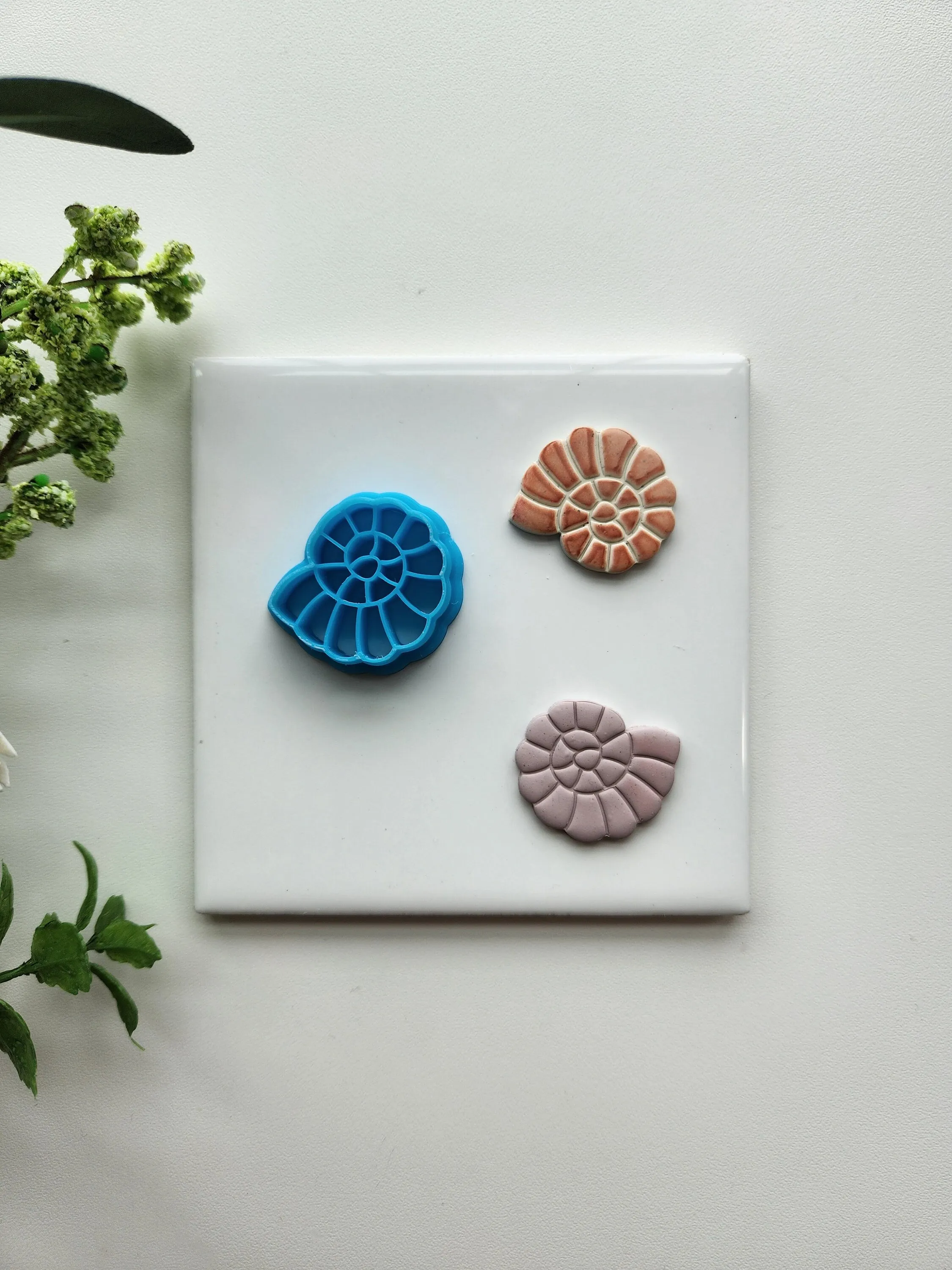 Shark Eye Shell | Beach Polymer Clay Cutter