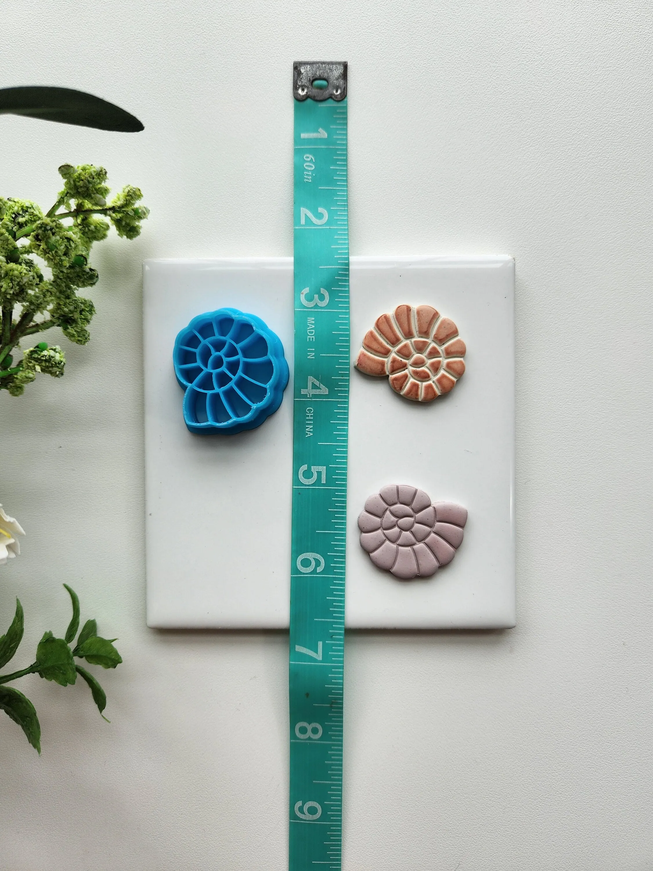 Shark Eye Shell | Beach Polymer Clay Cutter