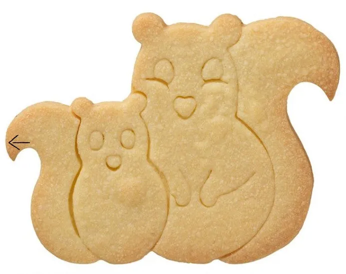 Squirrel Cookie Cutter Pair with Internal Detail 12.5cm