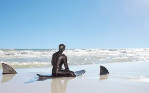 The Surfer