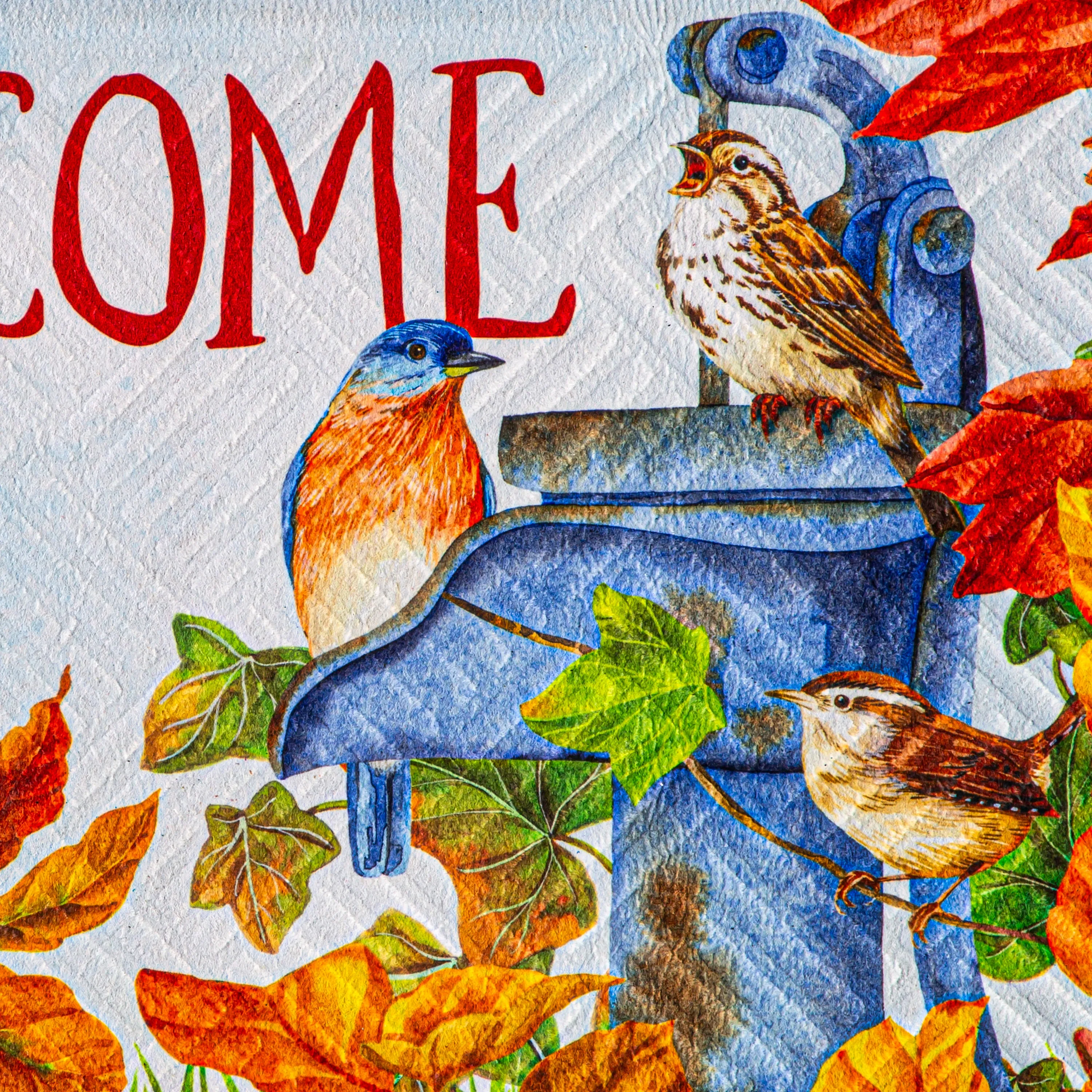 Where Birds Gather Embossed Mat,41em2771