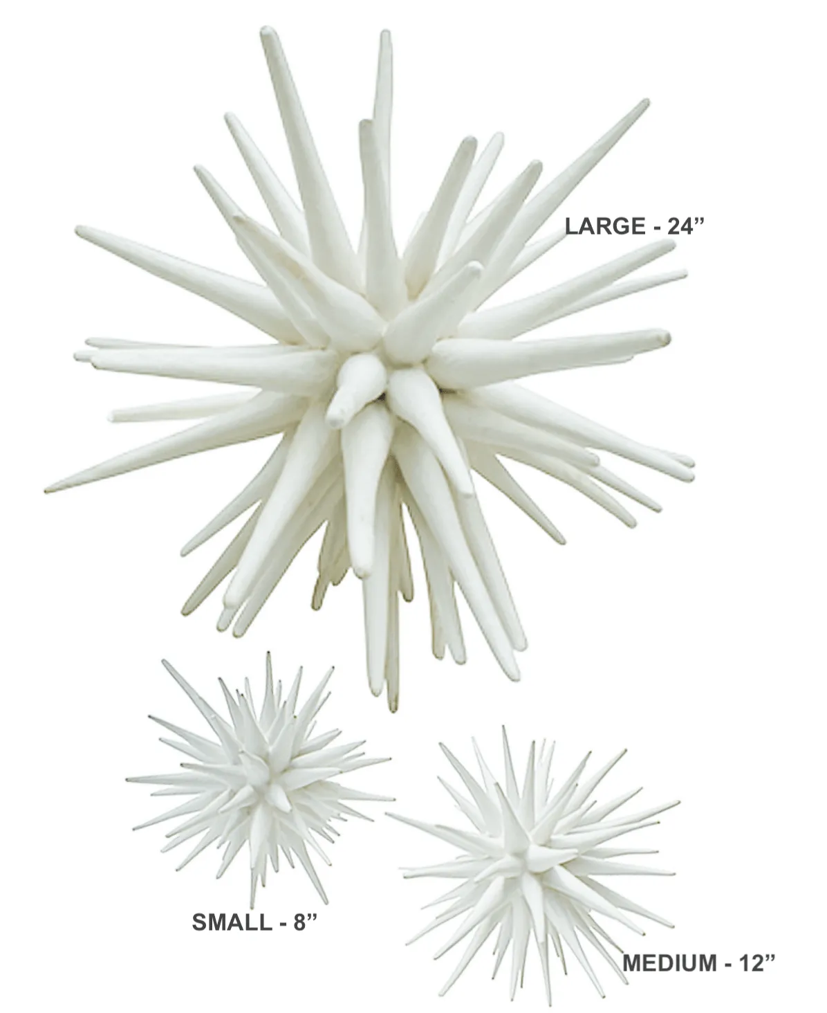 White Sea Urchin - Three Sizes