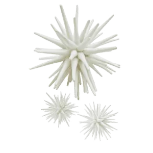 White Sea Urchin - Three Sizes